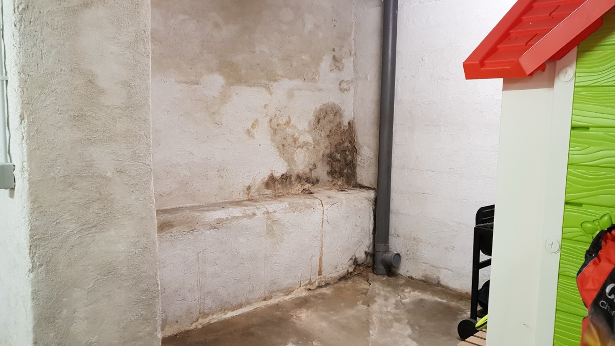 Infiltrations d'eau - Expertise humidité à Cherbourg-en-Cotentin